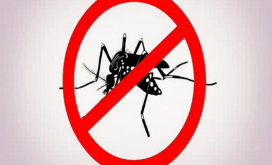 Animacao E Produzida Para Combate A Dengue Secretaria Da Educacao E Do Esporte