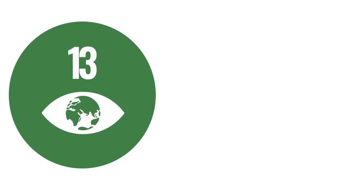 ODS 13