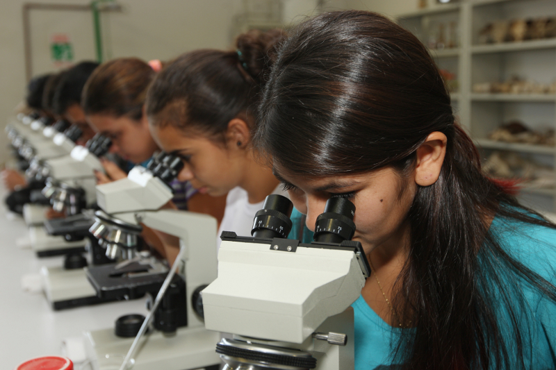 CASTRO-PR 19 DE FEVEREIRO DE 2013 - Centro Estadual de Educação Profissional Olegário Macedo - Educação Profissional dos Campos Gerais.