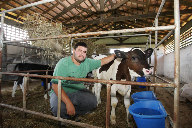 CASTRO-PR 19 DE FEVEREIRO DE 2013 - Centro Estadual de Educação Profissional Olegário Macedo - Educação Profissional dos Campos Gerais. Professor técnico Michel Bruno da Silva.