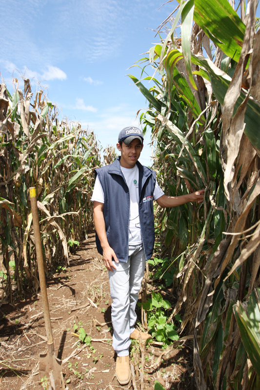 CASTRO-PR 19 DE FEVEREIRO DE 2013 - Centro Estadual de Educação Profissional Olegário Macedo - Educação Profissional dos Campos Gerais. Aluno Erison Vinicius Batista.