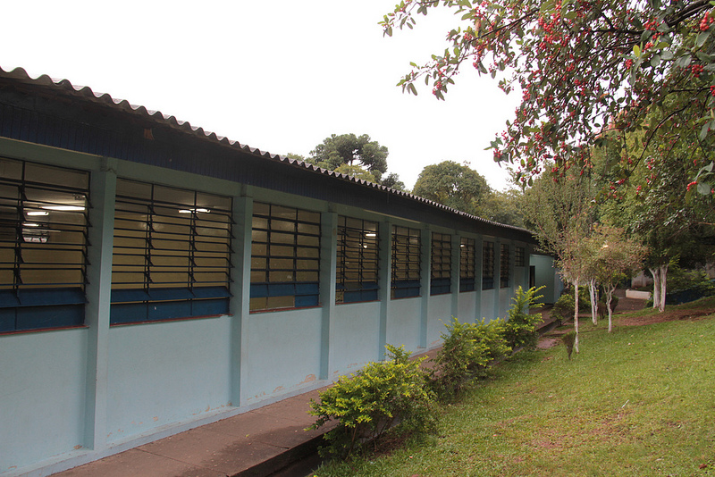 Colégio Estadual Professora Dirce Celestino do Amaral<br />
<br />
Veja mais fotos em: <a href=" http://www.flickr.com/photos/flavioarns/sets/72157633096083763/ " target="_blank"> http://www.flickr.com/photos/flavioarns/ </a>