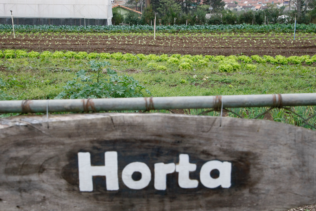 Colégio Florestal exporta técnicos para todo o país O Centro Estadual Florestal de Educação Profissional (Cefep) Presidente Costa e Silva, na cidade de Irati, no Centro-Sul, é o único colégio público do Paraná que oferece o curso técnico em Florestas. A escola completou 40 anos em 2013 e é referência no Brasil na formação de técnicos para trabalhar com florestas. 18-08-14.