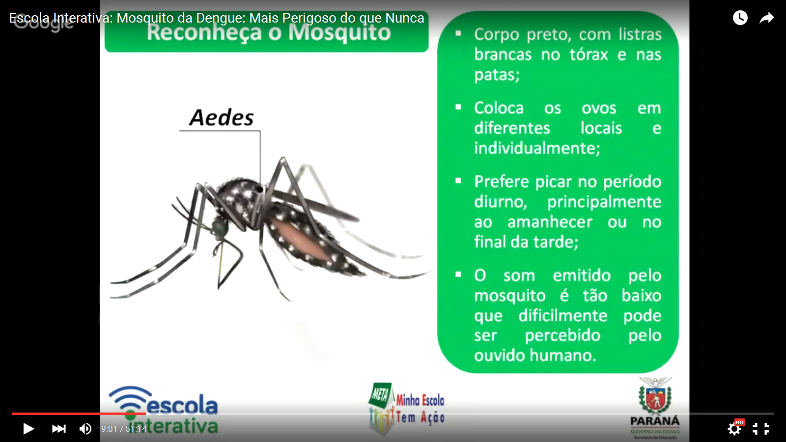 Aplicativo traz jogo interativo sobre como combater o Aedes