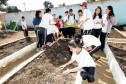 Colombo - 19-04-13 - Colégio Estadual Helena Kolody em Colombo, horta onde os alunos plantam e praticam matemática. 