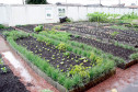 20-06-13 - Colegio Estadual Ipe em Sao Jose dos Pinhais, Colegio implanta sistem sustentavel com horta, arvores, jardim, radio escola.  