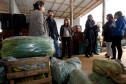 Equipe da Prefeitura de São Paulo conhece o sistema de distribuição de alimentos orgânicos produzidos pela agricultura familiar, para as escolas estaduais. Na foto, o produtor rural, José Antonio da Silva Marfil, conversa com Danuta Chmielewska, Flavia Albuqyerque e Erika Espindola Fischer. Curitiba, 19/08/2013.  