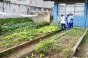 10-06-13 - Colégio Estadual Algacyr Munhoz Maer, alunos usam a horta para ter prova de inglês.