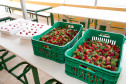 Em Prudentópolis, na região Central do Paraná, as merendeiras Marilda de Lima e Silvana Zdebski, do Colégio Estadual Alberto de Carvalho, usam as frutas em diversas receitas. Entre as várias opções, o sorvete natural de morango fez sucesso entre os alunos.