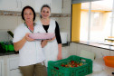 Em Prudentópolis, na região Central do Paraná, as merendeiras Marilda de Lima e Silvana Zdebski, do Colégio Estadual Alberto de Carvalho, usam as frutas em diversas receitas. Entre as várias opções, o sorvete natural de morango fez sucesso entre os alunos.