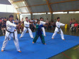 A Secretaria de Estado do Esporte e do Turismo em parceria com as Secretarias da Justiça, da Segurança e da Educação, além da Federação Paranaense de Taekwondo, lançaram na manhã desta terça-feira (03) em Londrina o Projeto UPS Cidadania, que visa ensinar o taekwondo para as crianças e adolescentes das comunidades que possuam uma Unidade Paraná Seguro.