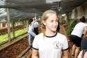 Os alunos do 9º ano do Colégio Estadual Rocha Pombo, em Capanema, no Sudoeste, agora têm uma nova atribuição na escola. Eles ficaram responsáveis pela horta da escola, de onde já foram colhidas verduras que enriqueceram a merenda escolar no almoço dos 192 estudantes que permanecem em tempo integral no colégio, na foto a aluna Ana Beatriz. 13-05-14.  