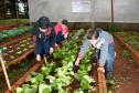 Colégio Estadual Amâncio Moro, em Corbélia, alunos na horta. 27-05-14.