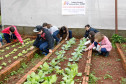 Colégio Estadual Amâncio Moro, em Corbélia, alunos na horta. 27-05-14.
