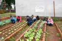 Colégio Estadual Amâncio Moro, em Corbélia, alunos na horta. 27-05-14.