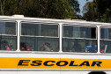 Outro prejuízo com a paralisação é a logística do transporte escolar, realizada por meio de convênios com os municípios. Isso porque os alunos da rede estadual e municipal muitas vezes são transportados nos mesmos ônibus, pois normalmente o calendário de aulas coincide.