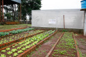Horta escolar do Colégio Estadual Amâncio Moro, em Corbélia.