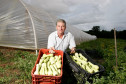 As cooperativas que firmaram contratos com o Governo do Estado já iniciam nesta semana, as a entrega dos produtos da agricultura familiar às escolas da rede pública estadual. Os itens incluem legumes, verduras e hortifrutigranjeiros. 