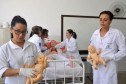 O laboratório de enfermagem do CEEP de Pitanga, por exemplo, conta com bonecos simuladores de massagem cardíaca (equipado com sistema eletrônico que alerta se o procedimento está sendo feito da maneira correta), sonda vesical nasogástrica e sistema de gestação