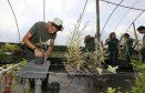 Secretaria Estadual de Educação do Paraná; CEEP Newton Freire Maia, curso de Meio Ambiente com o projeto de revetalização de áreas verdes do colégio, na foto o aluno Giliade Thaylor Feitosa Silva Lima. 17-04-18. Foto: Hedeson Alves