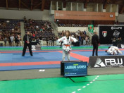 Jiu Jitsu