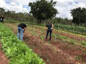 Colégio Agrícola de Umuarama