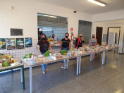 Alimentos