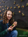 Aluna de Toledo participa de feira científica de Londres com pesquisa de germinação de orquídeas