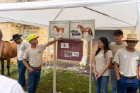 CEEP Newton Freire Maia