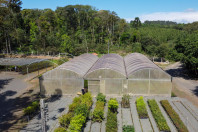 1º do País, Colégio Florestal de Irati alcança capacidade de 1 milhão de mudas por ano