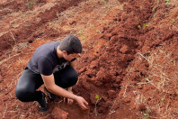 Educação do Paraná se destaca em olimpíada nacional de recuperação de ecossistemas