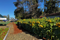 Projetos de colégio agrícola de Apucarana ganham destaque na Expo Agri 2025