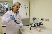 Alimentação escolar: controle rigoroso garante cardápios nutritivos e saudáveis no Paraná