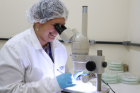 Alimentação escolar: controle rigoroso garante cardápios nutritivos e saudáveis no Paraná