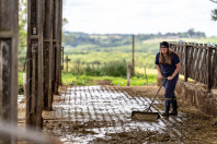 Paraná fortalece ensino agrícola com tecnologia, cursos técnicos e inovação aplicada
