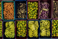 17 mil toneladas de alimentos da agricultura familiar abastecem escolas do Paraná anualmente
