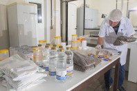 Alimentação escolar: controle rigoroso garante cardápios nutritivos e saudáveis no Paraná