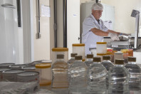 Alimentação escolar: controle rigoroso garante cardápios nutritivos e saudáveis no Paraná