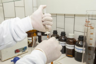 Alimentação escolar: controle rigoroso garante cardápios nutritivos e saudáveis no Paraná