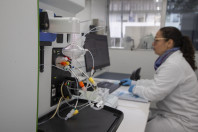 Alimentação escolar: controle rigoroso garante cardápios nutritivos e saudáveis no Paraná