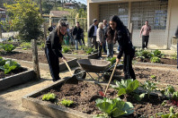 Hortas nutrem novos saberes e escolhas saudáveis nas escolas estaduais do Paraná