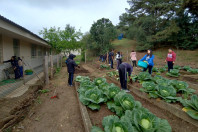 Hortas nutrem novos saberes e escolhas saudáveis nas escolas estaduais do Paraná