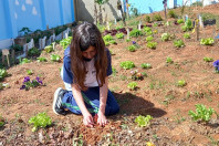 Hortas nutrem novos saberes e escolhas saudáveis nas escolas estaduais do Paraná