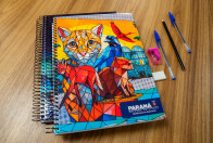 Estado inicia nesta sexta-feira entrega de kits escolares para o ano letivo de 2026