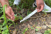 Alunos criam “Canteiro de Africanidades” para aprender sobre cultura afro-brasileira