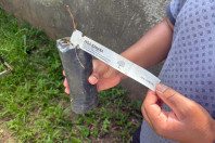 Alunos criam “Canteiro de Africanidades” para aprender sobre cultura afro-brasileira