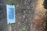 Alunos criam “Canteiro de Africanidades” para aprender sobre cultura afro-brasileira