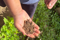 Alunos criam “Canteiro de Africanidades” para aprender sobre cultura afro-brasileira