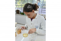 Ciência e pesquisa: projetos da rede estadual do Paraná são destaques na Febrace 2025