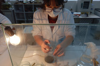 Ciência e pesquisa: projetos da rede estadual do Paraná são destaques na Febrace 2025